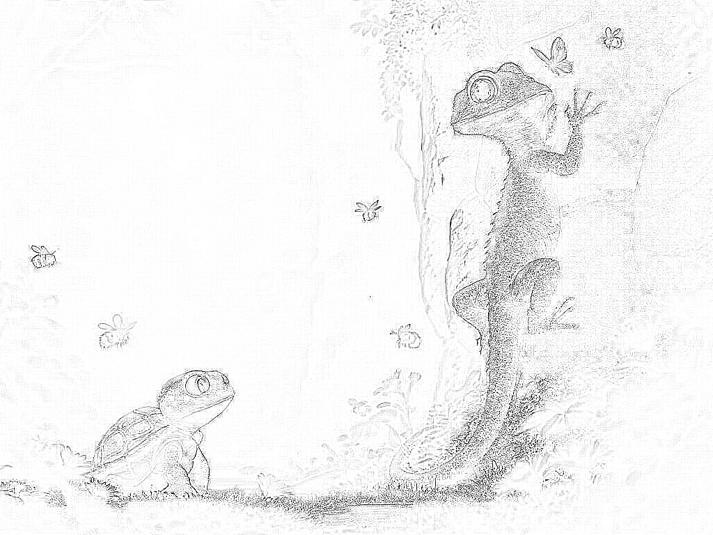 Snapper und die große Mauer